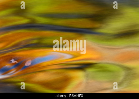 Riflessi di Colore di autunno in rapido movimento fiume Tellico in Cherokee National Forest Tennessee Foto Stock