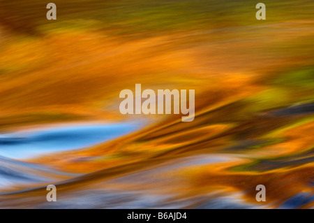 Riflessi di Colore di autunno in rapido movimento fiume Tellico in Cherokee National Forest Tennessee Foto Stock