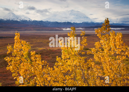 Mt McKinley ha anche chiamato Denali Denali National Park in Alaska Foto Stock