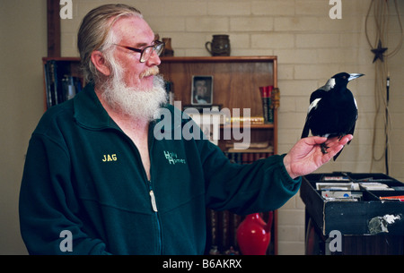 L uomo e il pet gazza, Australia Foto Stock