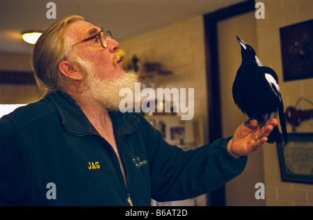 L uomo e il pet gazza, Australia Foto Stock