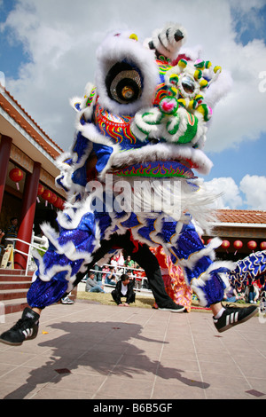 Anno Nuovo cinese la danza del Leone Foto Stock