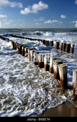 Onda di legno interruttori da Domburg Walcheren Zeeland Holland Olanda Foto Stock