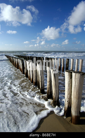 Onda di legno interruttori da Domburg Walcheren Zeeland Holland Olanda Foto Stock