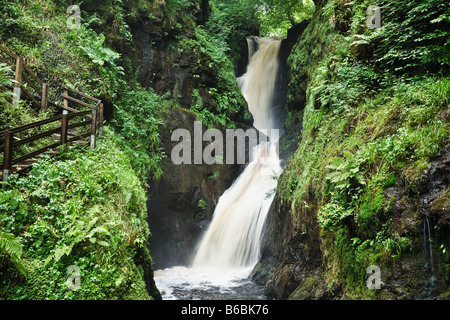 Ess-na-Larach cascata, Glenariff River, Glenariff Forest Park, Glens di Antrim, County Antrim, Irlanda del Nord Foto Stock