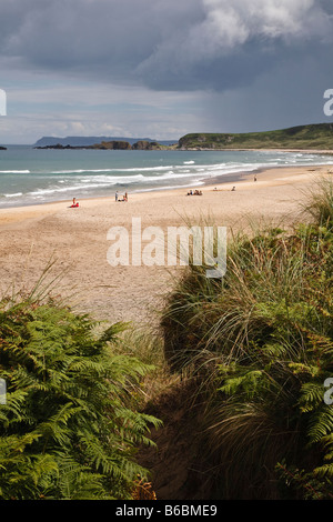 Whitepark Bay (National Trust), County Antrim, Irlanda del Nord Foto Stock