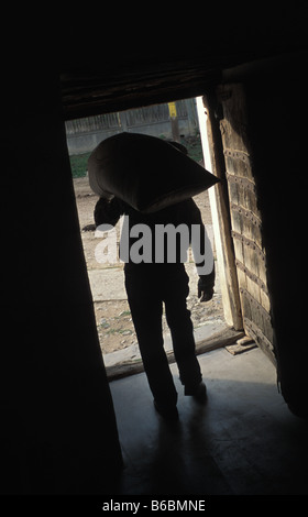 Uomo che trasportano il sacco di grano in chiesa fortificata in Szekelyderz dariju villaggio in Transilvania Romania Foto Stock