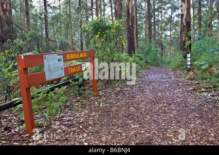Un Bibbulmun via signpost attraverso la foresta karri in Gloucester National Park, Pemberton, Australia occidentale Foto Stock