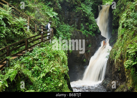 Ess-na-Larach cascata, Glenariff River, Glenariff Forest Park, Glens di Antrim, County Antrim, Irlanda del Nord Foto Stock