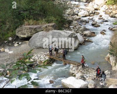 Il trekking cross un log ponte sopra il fiume Kimrong (Kimrong Khola) vicino a Jhinu Danda nell'Annapurna pedemontana, Nepal Foto Stock