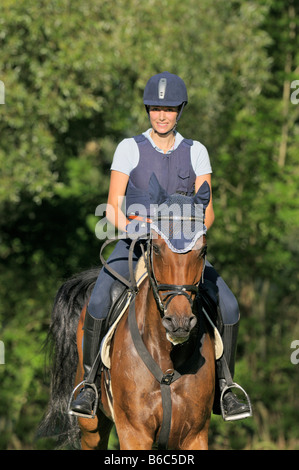 Giovane pilota che indossa un casco di equitazione e un organismo di protezione sul retro di un bavarese cavallo di razza Foto Stock