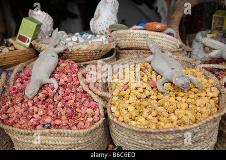 Rimedi a base di erbe, la medicina tradizionale, mercato, Marrakech, Marocco, Africa Foto Stock