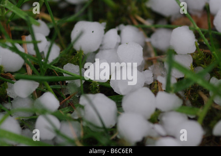 Le sfere di grandine sul terreno Foto Stock