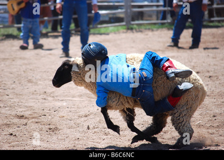 Un ragazzino di montone bustin' in corrispondenza di un American rodeo Foto Stock