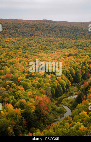 MICHIGAN - Autunno lungo la grande carpa fiume vicino al lago delle nuvole in contrada deserto montagna parco dello stato. Foto Stock