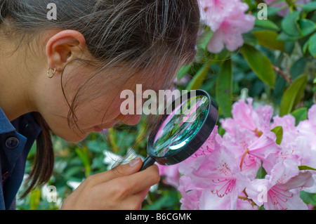 Ragazza giovane esamina i fiori di un fiorire di azalea Foto Stock