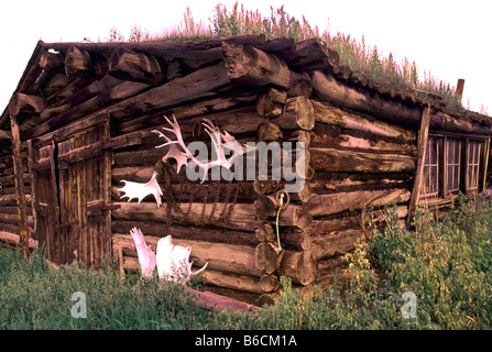Una vecchia capanna di legno con tetto di SOD e palchi in Carmacks Yukon Territory Canada Foto Stock