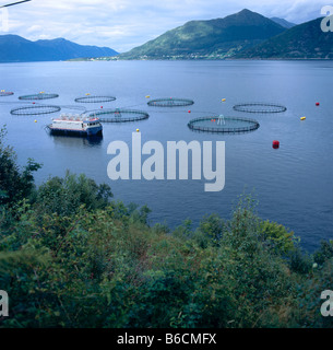 Vista aerea della nave da crociera nel fiume, Norvegia Foto Stock