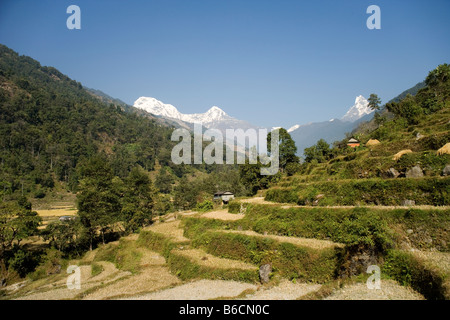 Annapurna Sud e coda di pesce la montagna da i modi valle fluviale nella catena Hannapurna, Himalaya, Nepal Foto Stock