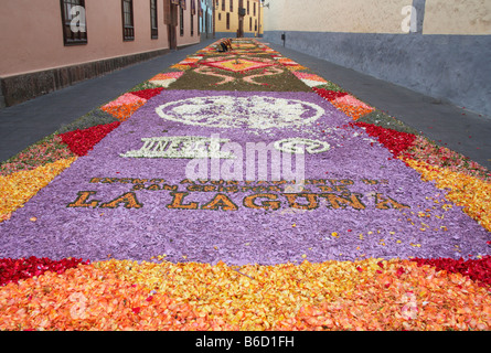 Tenerife: La Alfombra (tappetino) De Corpus Christi, fatta dai fiori, a La Laguna. Foto Stock