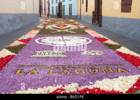 Tenerife: La Alfombra (tappetino) De Corpus Christi, fatta dai fiori, a La Laguna. Foto Stock