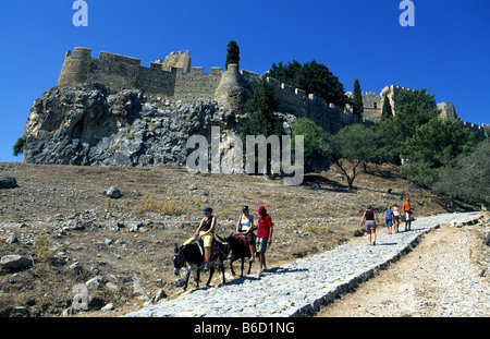 I turisti su asini nella parte anteriore del castello, Lindos, RODI, DODECANNESO isole, Grecia Foto Stock