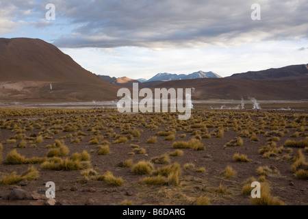 El Tatio geyser Foto Stock