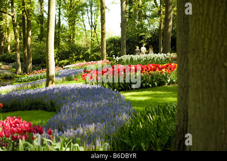 Vista sul Giardino di Keukenhof colorfull tulip parco floreale nei Paesi Bassi Foto Stock