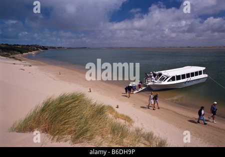 Crociera turistica, Coorong, Sud Australia. Foto Stock