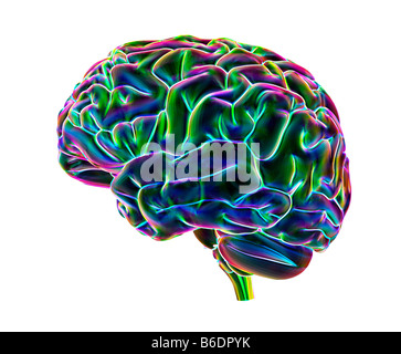 Cervello umano, di computer grafica. La parte anteriore del cervello è a destra. Foto Stock