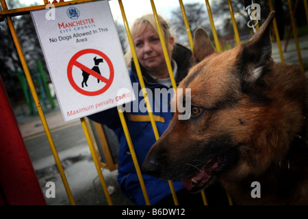 Cane e comunità operaio in un parco a Manchester REGNO UNITO Foto Stock