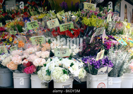 Impostazione urbana di un esterno di mercato dei fiori con una varietà di fiori e mazzi di fiori in diverse fasce di prezzo Foto Stock