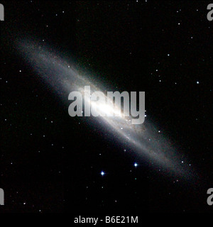 Galassia a spirale NGC 253, infrarossi immagine composita della galassia a spirale NGC 253, noto anche inquanto moneta d'argento o scultore, Galaxy Foto Stock