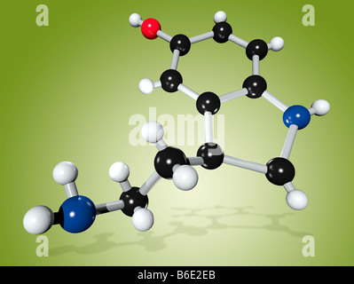 Molecola di serotonina. Il modello molecolare di theneurotransmitter (nervo segnalazione)chimica di serotonina (5-idrossitriptamina) Foto Stock