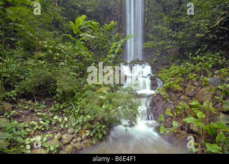 Una cascata nel Parco degli Uccelli di Jurong, SINGAPORE Foto Stock