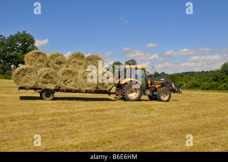 Fieno: un trattore con forche tira un rimorchio caricato con balle di fieno. Foto Stock