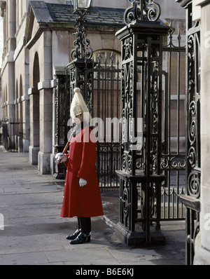 Life Guard della cavalleria della famiglia di guardia a cavallo protezioni, Whitehall, Londra Inghilterra. Foto Stock
