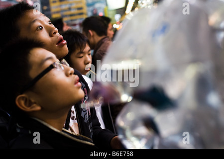 I bambini guardano a esemplari di pesci ed altre creature in acquario mercato di Hong Kong Cina Foto Stock