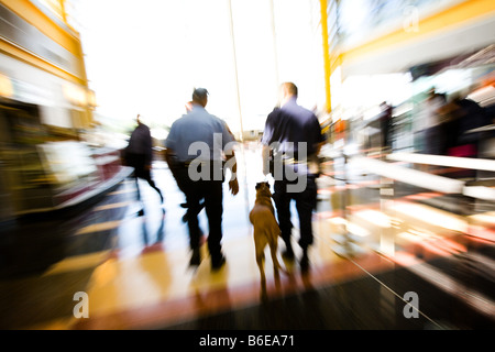 Membri della Metropolitan Washington Aeroporti competente del Dipartimento di Polizia di condurre una bomba-sniffing cane a Ronald Reagan Airport. Foto Stock