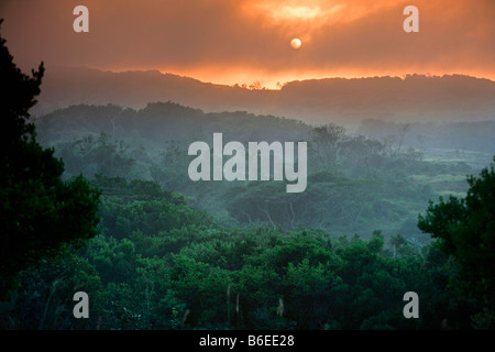 Sud Africa, Sint Lucia, maggiore Sint Lucia Zone Umide Foreste dunari di sunrise Foto Stock