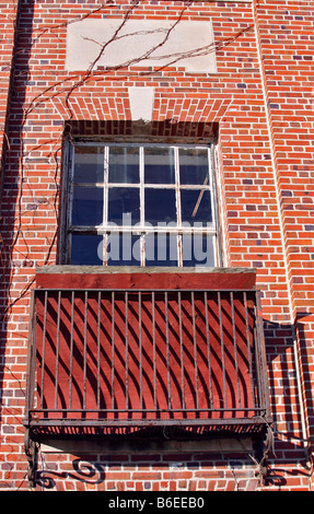 Finestra di gating in abbandonato ospedale psichiatrico, Kings Park, Long Island, New York, Stati Uniti d'America Foto Stock