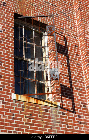 Finestra di gating in abbandonato ospedale psichiatrico, Kings Park, Long Island, New York, Stati Uniti d'America Foto Stock