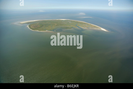 Vista areale, Mellum Isola, Est Isole Frisone, Bassa Sassonia, Germania, Europa Foto Stock
