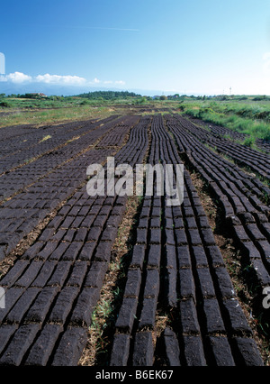 Lungo le linee dritte di salsiccia come torba prevista sul terreno nel paesaggio irlandese bog terra Foto Stock