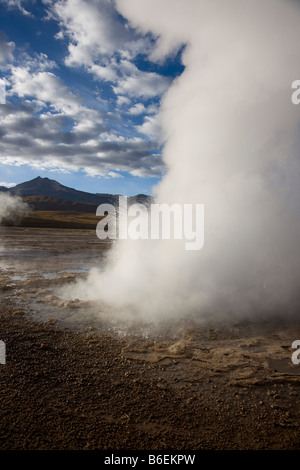 El Tatio geyser, il Deserto di Atacama, Cile Foto Stock