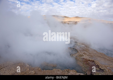 El Tatio geyser, il Deserto di Atacama, Cile Foto Stock