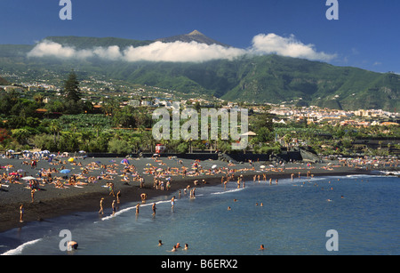 Playa Jardin, Isole Canarie, Tenerife, Puerto De La Cruz Foto Stock