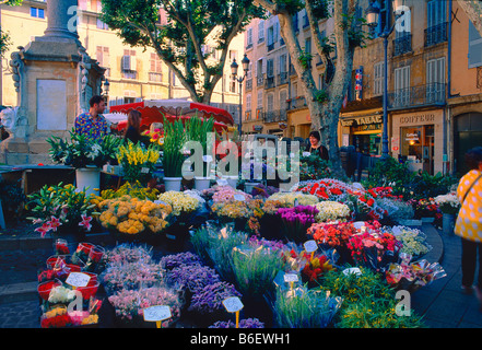 Il mercato dei fiori in Aix en Provence Foto Stock