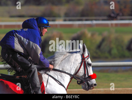 Jockey su un quarto di cavallo per un inizio di mattina allenamento Foto Stock