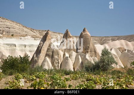 Valle delle Rose, tufo paesaggio vicino Goereme, Cappadocia, Anatolia centrale, Turchia, Asia Foto Stock